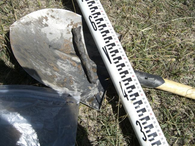  2006:09:15 00:17:18   SSBuhaTer1 - wood from base of section - photo 3.jpg